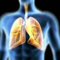 Medicion de la fuerza muscular respiratoria (PIM-PEM AJUSTADO CON VOLÚMENES PULMONARES) .893810  Idime (2024)