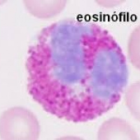 Recuento de eosinofilos en cualquier muestra. 902218  Idime (2022)