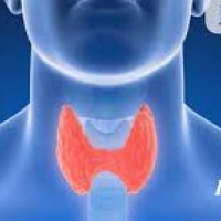 Control de endocrinologia Dra. Teresita Cortes Segura