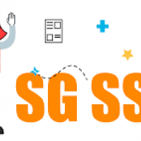 Diseño e implementacion del Sistema de Gestion en Seguridad y Salud en el Trabajo. Pequeña empresa. Dr. Maldonado